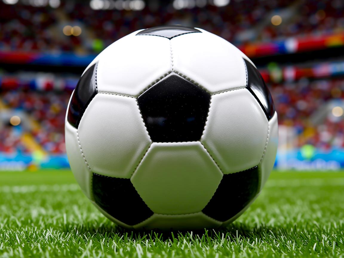 九游官网入口注册-2026世界杯比赛场馆成为关注焦点