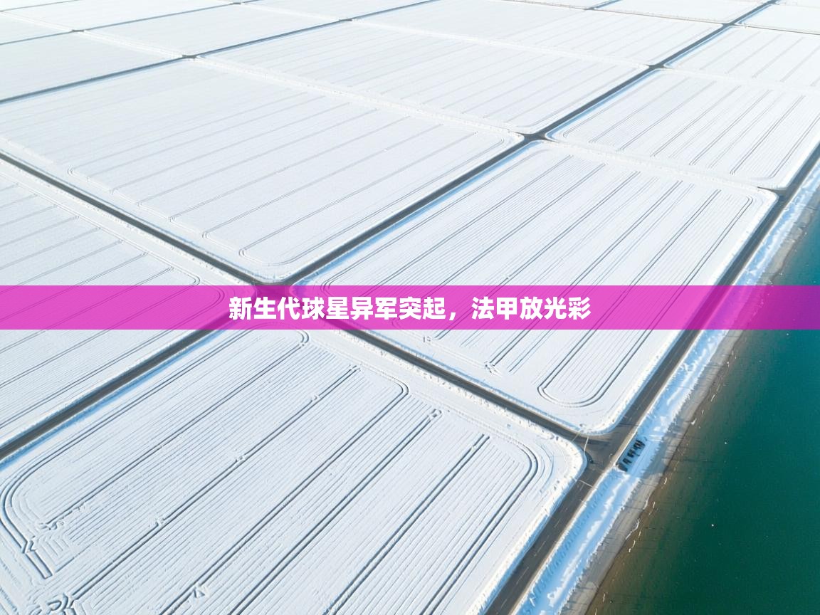 新生代球星异军突起,法甲放光彩 第1张