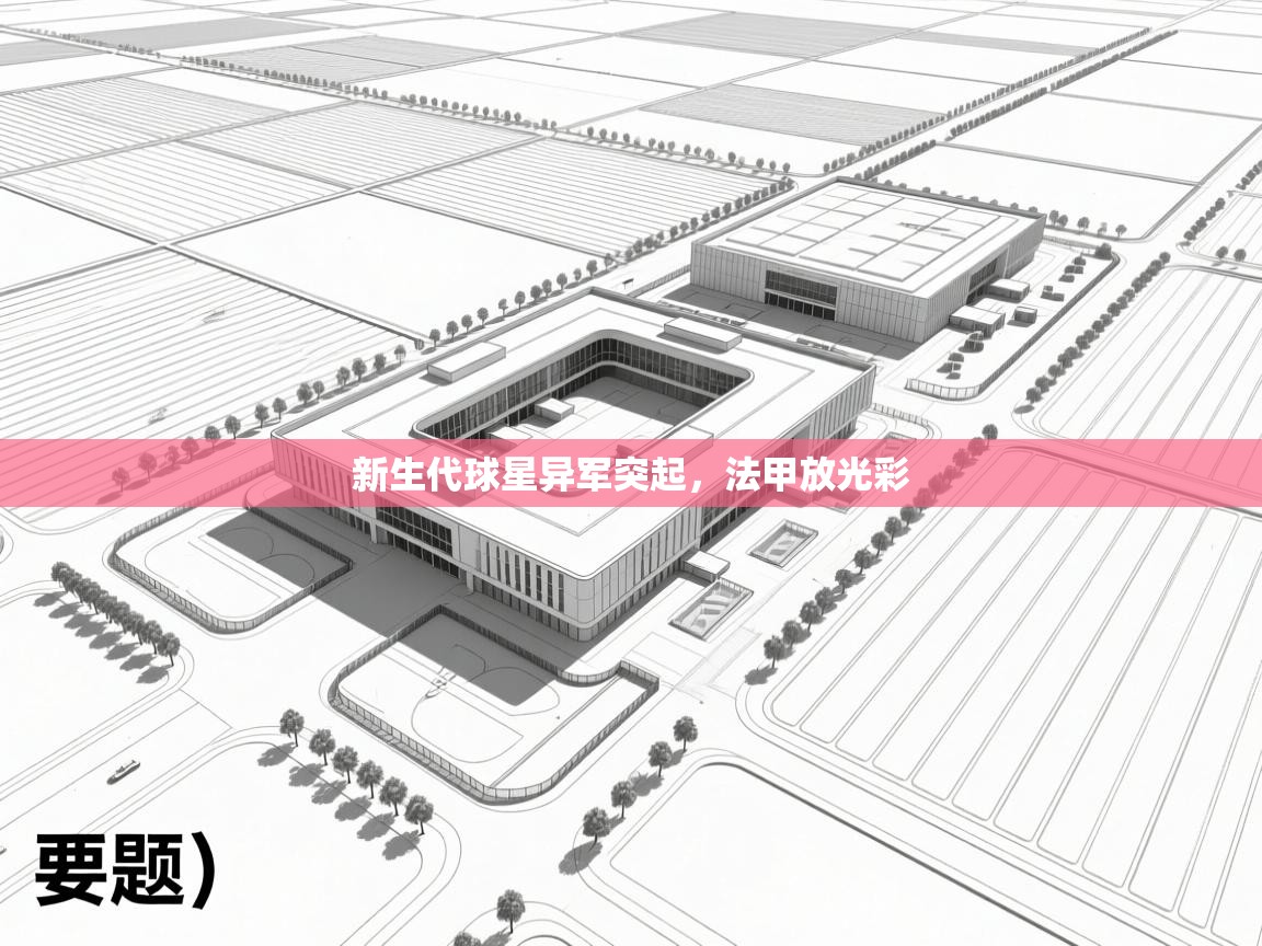 新生代球星异军突起,法甲放光彩 第2张